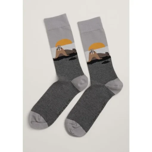 Seasalt Cornwall Men's Arty Organic Cotton Socks | Socks